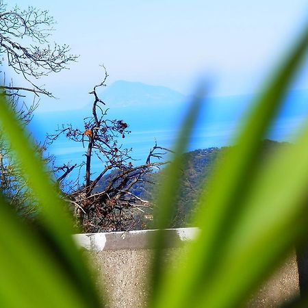 Bed and Breakfast Al Fakhar Ficarra Екстер'єр фото